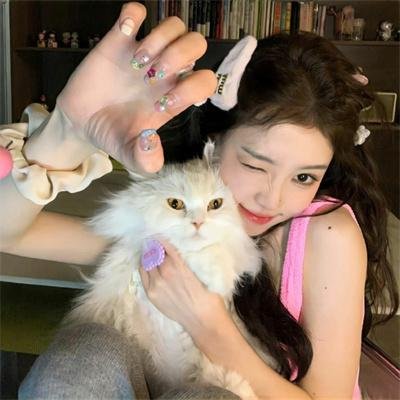 科莱特，一个自由的女子 在线观看封面