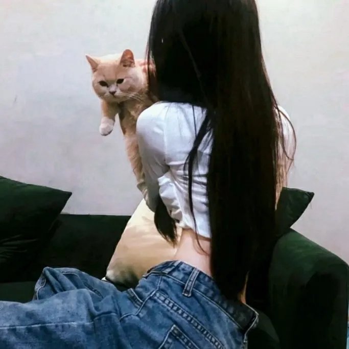 春琴抄 在线观看封面